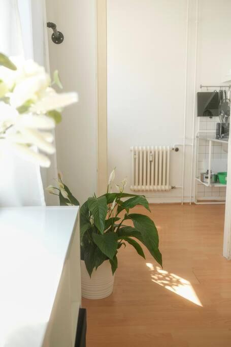 Stadtoase Wohnung Nahe Hauptbahnhof Coblence Extérieur photo